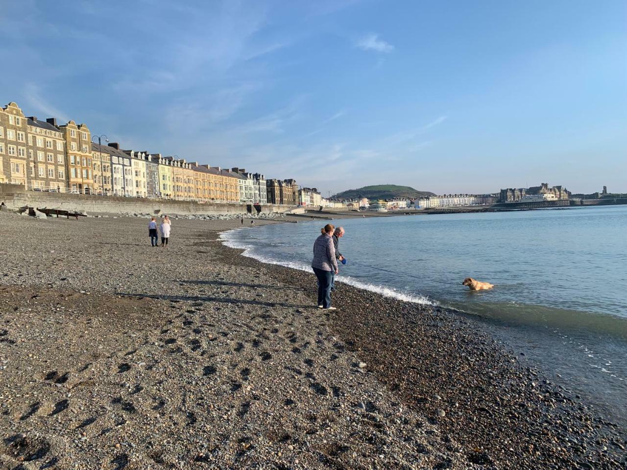 Cardigan Bay Self Catering Accommodation Aberystwyth Esterno foto